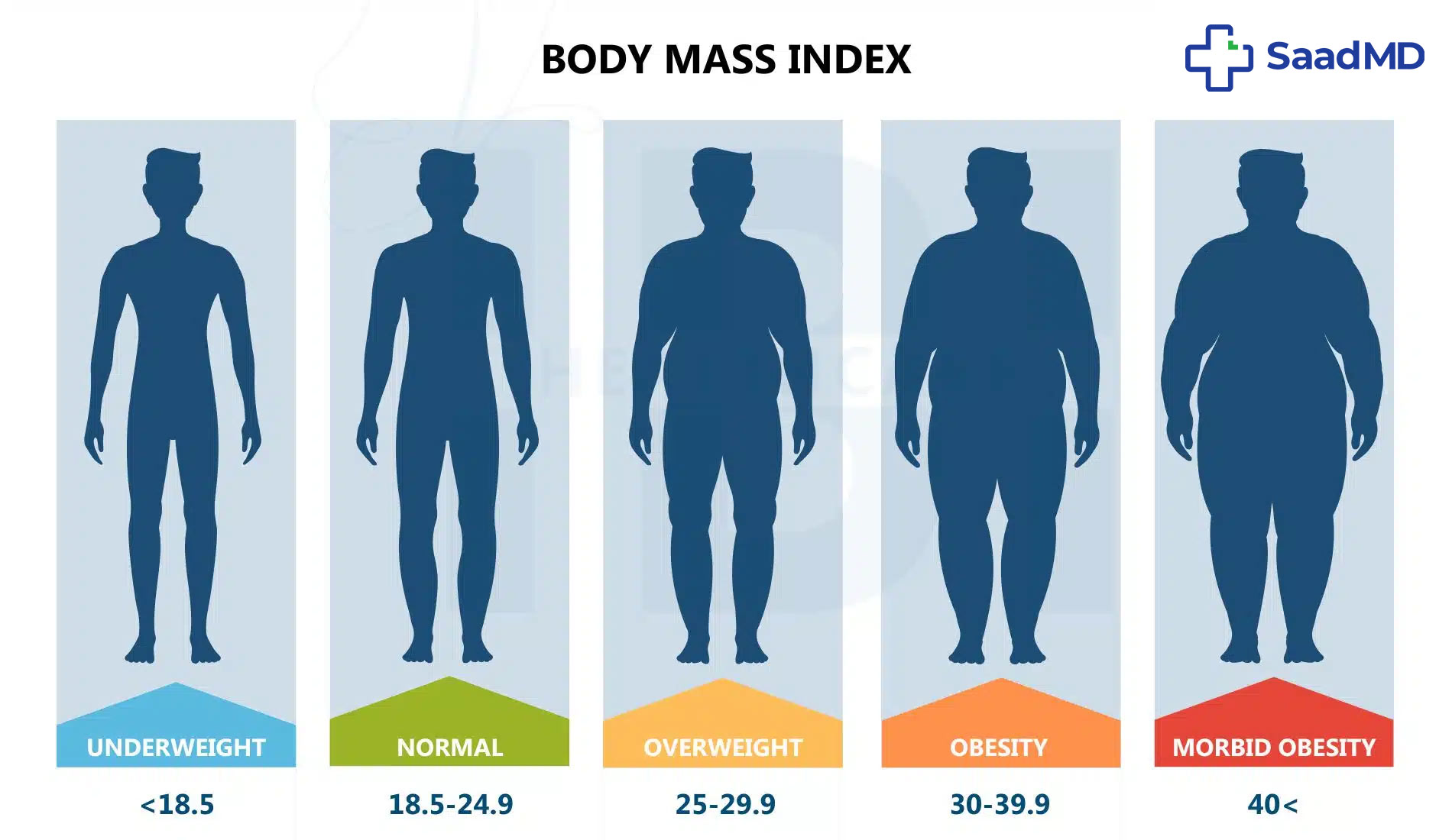 What Is Morbid Obesity Understanding Class III Obesity