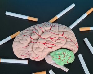 nicotine-effects-on-brain