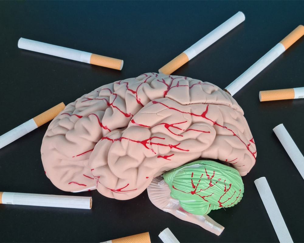 Understanding Nicotine Effects on Brain